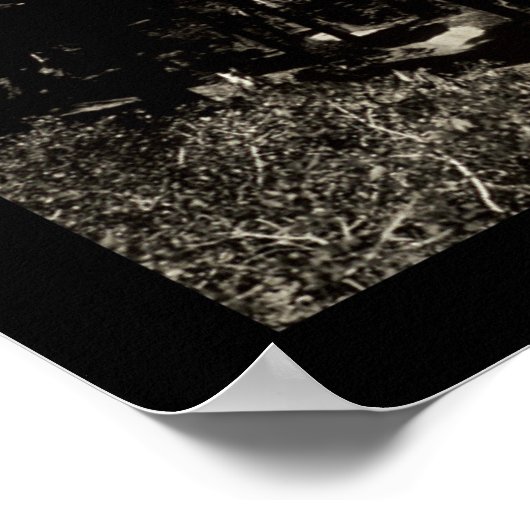 リーフ落ちたレイク写真1906 ポスター (角)