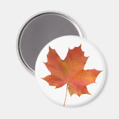 リーフ落ちた01 マグネット (正面/裏面)