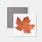 リーフ落ちた01 マグネット (正面/裏面)