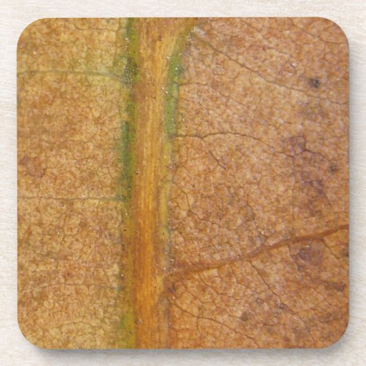 リーフ落ちた11 コースター (正面)