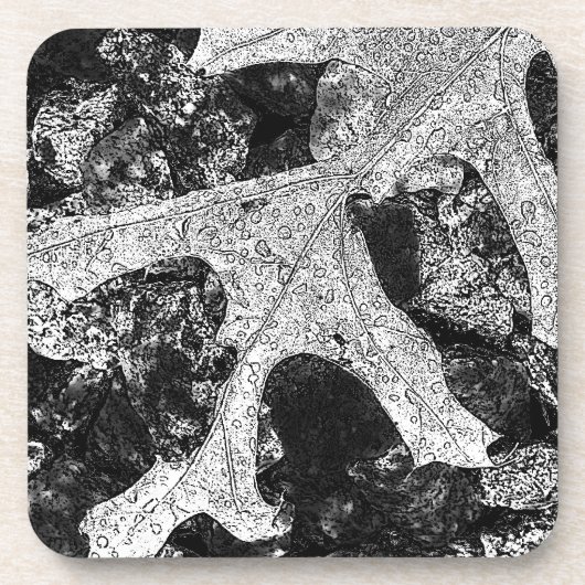 リーフ コースター (正面)