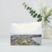 リーフ_ドラドPR ポストカード (スタンド正面)