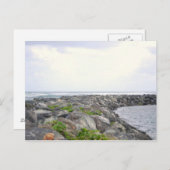 リーフ_ドラドPR ポストカード (正面/裏面)