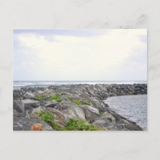 リーフ_ドラドPR ポストカード