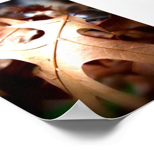 リーフ... ポスター (角)