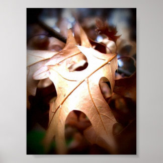 リーフ... ポスター