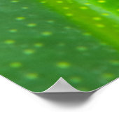 リーフ ポスター (角)