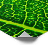 リーフ ポスター (角)