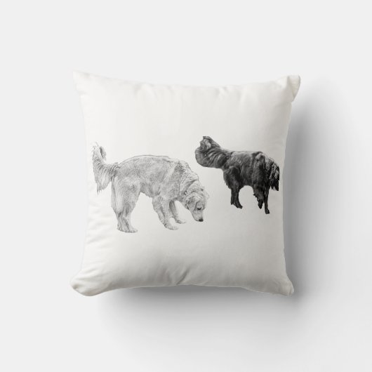 リーフ・リッター・フォーカス、静かなDuo クッション (正面)