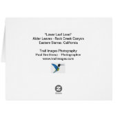 「リーフ・レベルの低下」 (裏面横)