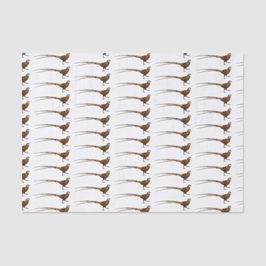 リーブスのキジ鳥の漫画イラストレーション 薄葉紙 (正面)