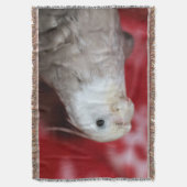 リープル スローブランケット (正面縦)