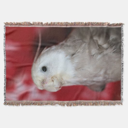 リープル スローブランケット (正面)