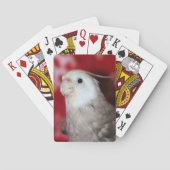 リープル トランプ (裏面)