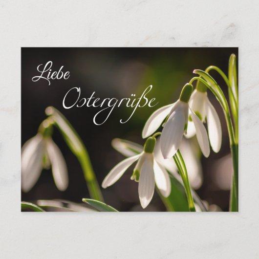 リーベオステルグリュースオースデムブリーフカステン ポストカード (正面)