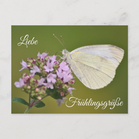 リーベフュルリングリュッセ ポストカード (正面)