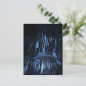 リーマンケイブス ポストカード (スタンド正面)