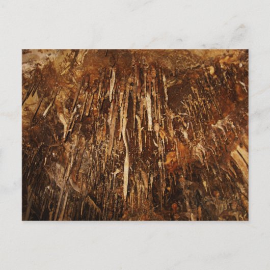 リーマンケイブ ポストカード (正面)