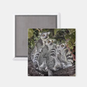 リームリングテール磁石 マグネット (正面/裏面)