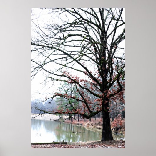 リーン ポスター (正面)