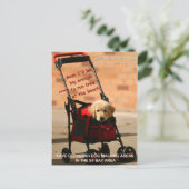 リ救ーシュ外の犬歩くボクサー！ ポストカード (スタンド正面)