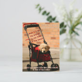 リ救ーシュ外の犬歩く、フェインスタイン！ ポストカード (スタンド正面)