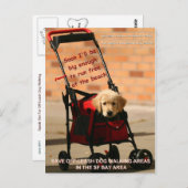 リ救ーシュ外の犬歩く、フェインスタイン！ ポストカード (正面/裏面)