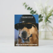 リ救ーシュ外の犬歩く、Feinstein議員 ポストカード (スタンド正面)