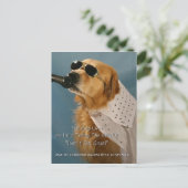 リ救ーシュ外の犬歩く、Feinstein議員 ポストカード (スタンド正面)