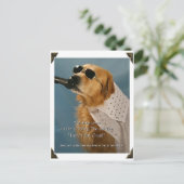 リ救ーシュ外の犬歩く、Feinstein議員 ポストカード (スタンド正面)