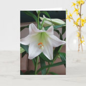 リ独身のリー カード (黄色い花)