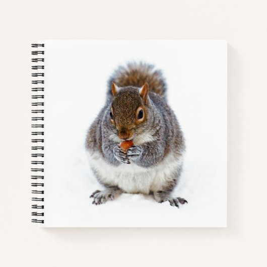 リ食べス・ ノートブック (正面)