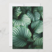 ルアウ（ハワイ式宴会）熱帯葉金ゴールドパイナップルブライダルシャワー 招待状 (裏面)