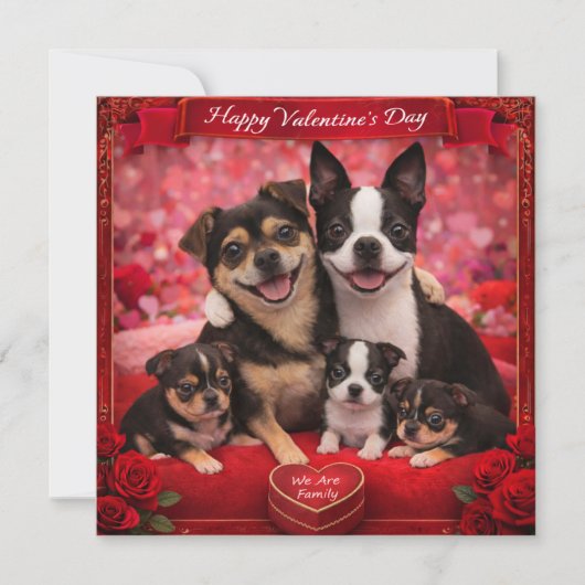 ルイとルナと5人家族 カード (正面)