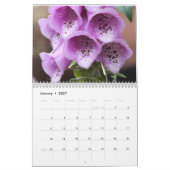 ルイザズガーデンマンチェスター（英国） カレンダー (1月 2027)