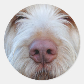 ルイジのブーパーステッカー ラウンドシール