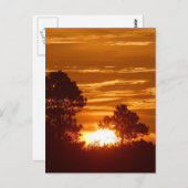 ルイジアナのサンライズ ポストカード (正面/裏面)