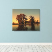 ルイジアナのバユーとヒノキ キャンバスプリント (インサイチュ (ウッドフロア))