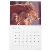 ルイジアナの地図および写真撮影のカレンダー カレンダー (2月 2026)