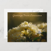 ルイジアナの挨拶 ポストカード (正面/裏面)