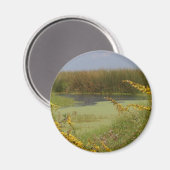 ルイジアナの湿地 マグネット (正面/裏面)