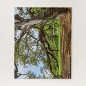 ルイジアナの生きたオークの木 ジグソーパズル (縦)