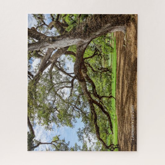 ルイジアナの生きたオークの木 ジグソーパズル (縦)