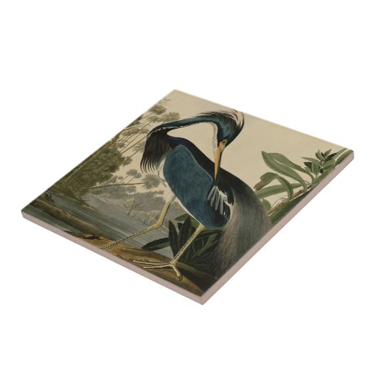 ルイジアナの鷲 タイル (側面)