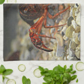 ルイジアナのCrawfish キッチンタオル (折り畳み)