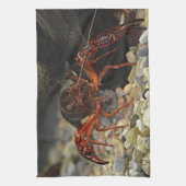 ルイジアナのCrawfish キッチンタオル (縦)