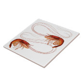 ルイジアナエビ タイル (側面)