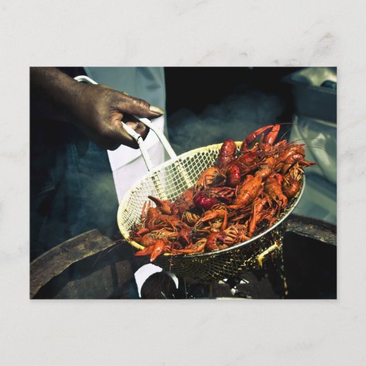 ルイジアナクロフィッシュ ポストカード (正面)