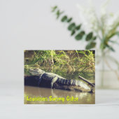 ルイジアナスワンプゲーター ポストカード (スタンド正面)