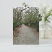 ルイジアナスワンプバユー自然ノートカード サンキューカード (スタンド正面)